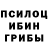 Псилоцибиновые грибы Psilocybe Ho SC