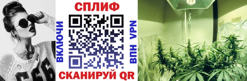 Бошки Шишки Amnesia  купить  сайты  Бикин 
